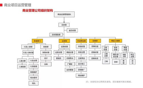 商管公司团队组织架构及商业运管模式——商业综合体管理服务深度解析